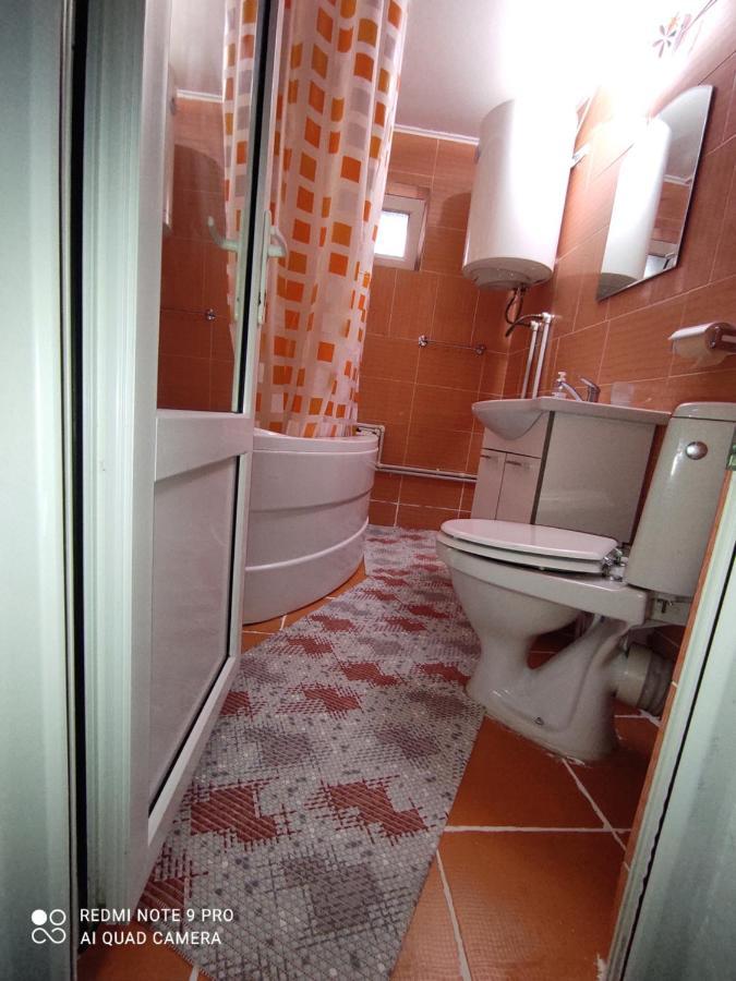 Dayly House Apartament Sulina Exterior photo