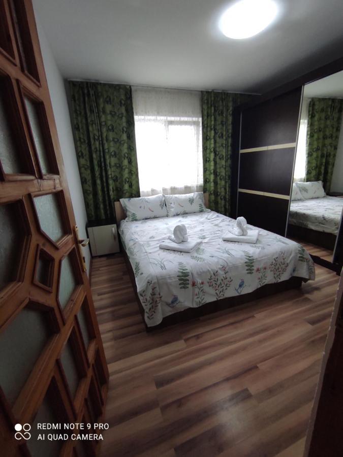 Dayly House Apartament Sulina Exterior photo